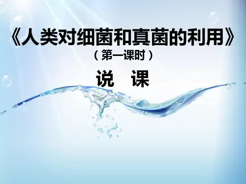 《人类对细菌和真菌的利用》说课课件(人教版生物)