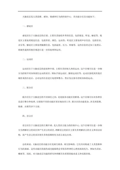 大脑皮层的功能分区及功能