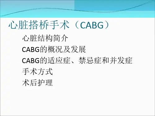 心脏搭桥手术ppt课件