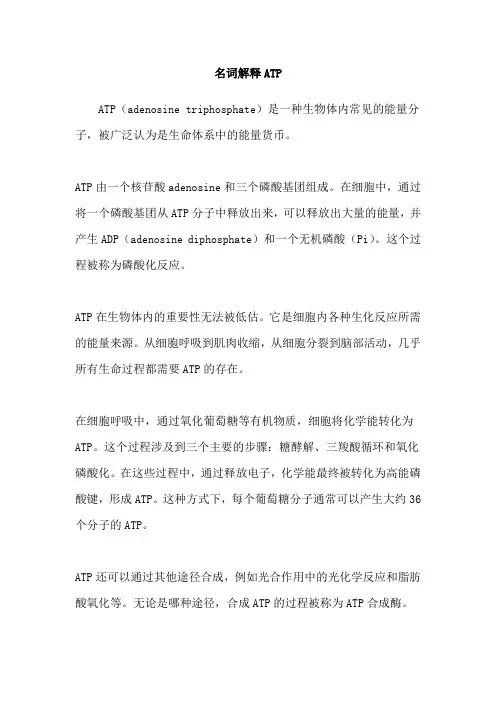 名词解释ATP