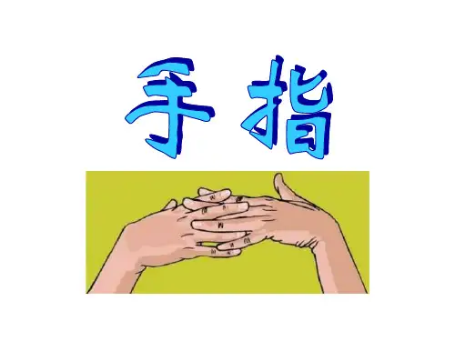 五年级下册语文课件-13手指｜鲁教版 (共13张PPT)