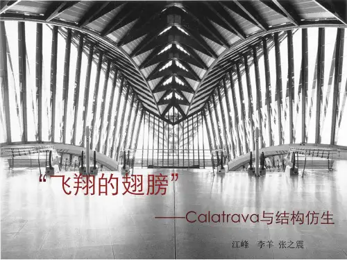 卡拉特拉瓦与结构仿生