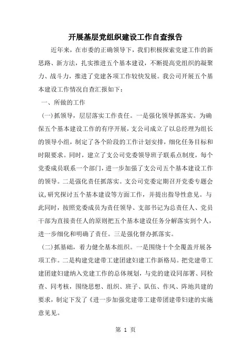 精选-开展基层党组织建设工作自查报告