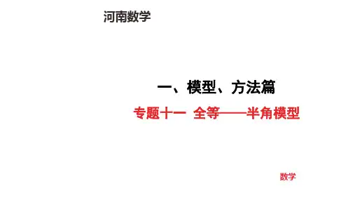 中考数学专项复习题型突破专题十一 全等——半角模型