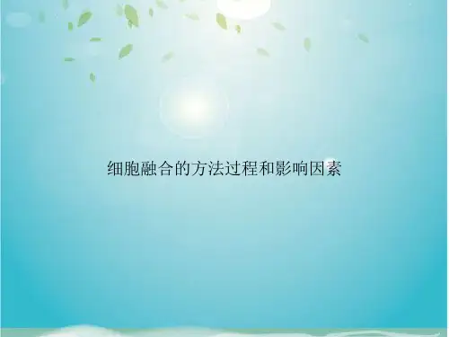 细胞融合的方法过程和影响因素