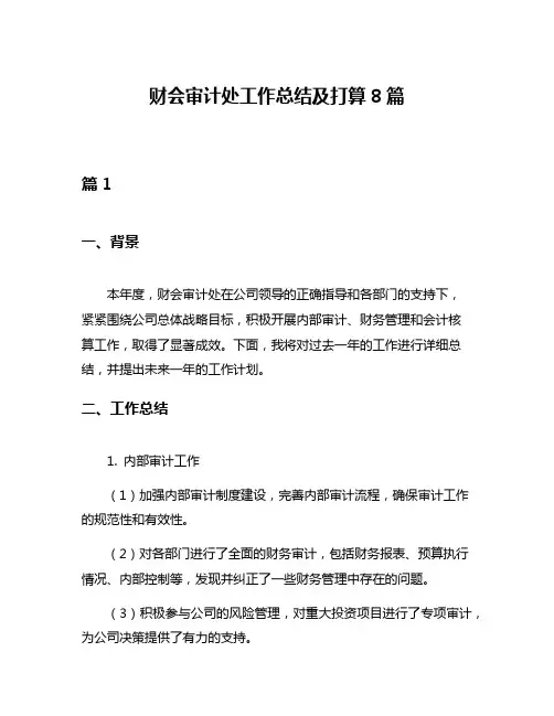 财会审计处工作总结及打算8篇