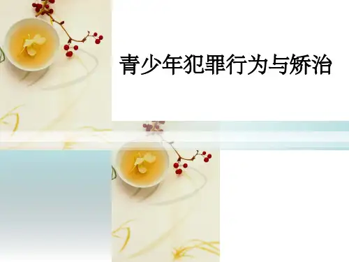 青少年犯罪行为与矫治
