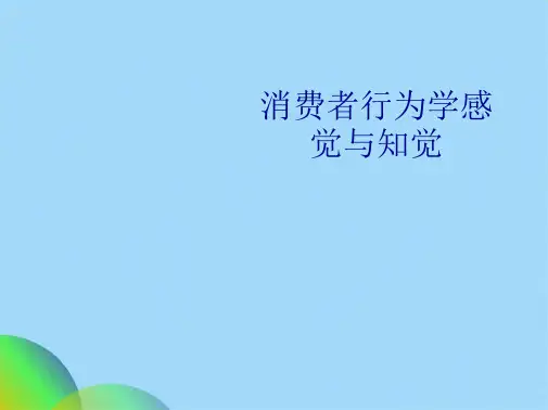 消费者行为学感觉与知觉(共47张PPT)