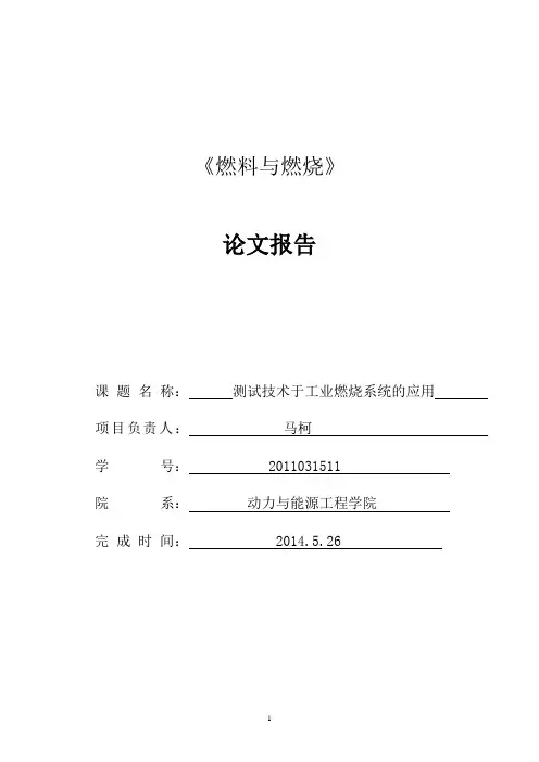 燃料燃烧小论文