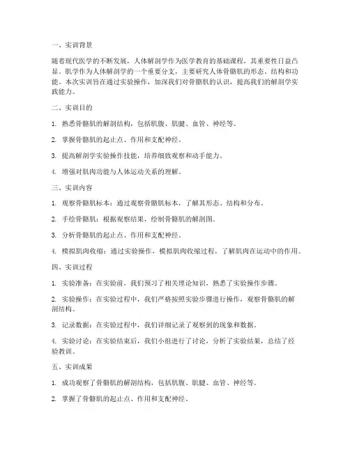 人体解剖肌学实训报告总结