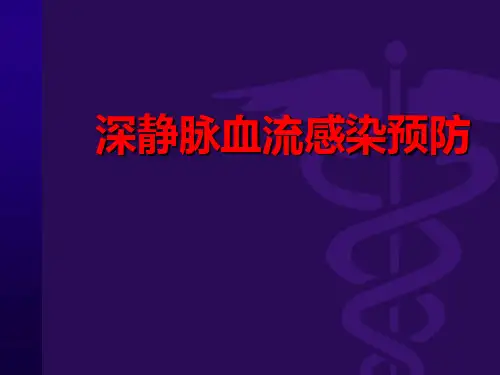 中心静脉导管相关血流感染预防与控制