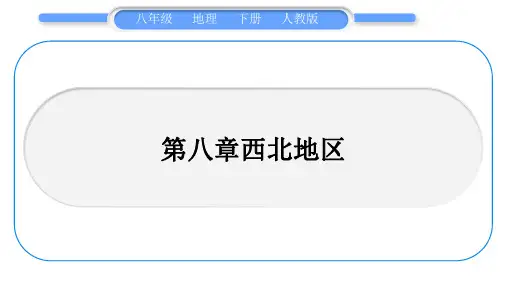 人教版八年级地理下地图专项复习第8章 西北地区习题课件