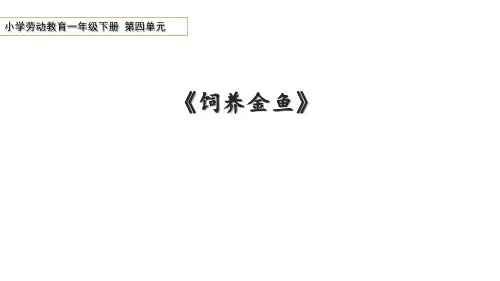 劳动教育一年级下册第四单元第2课《饲养金鱼》课件