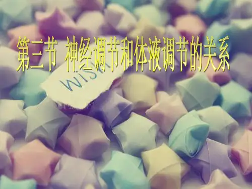 新版人教版高中生物神经调节和体液调节的关系 (共20张PPT)学习演示PPT课件