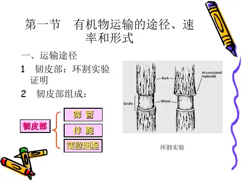 第五章植物体内同化物运输与分配