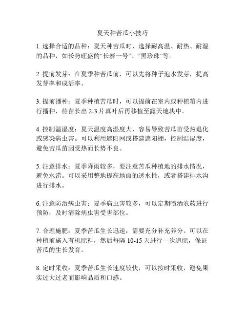 夏天种苦瓜小技巧