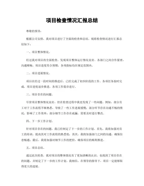 项目检查情况汇报总结