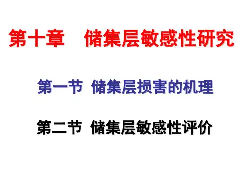 10第十章 储层敏感性解析