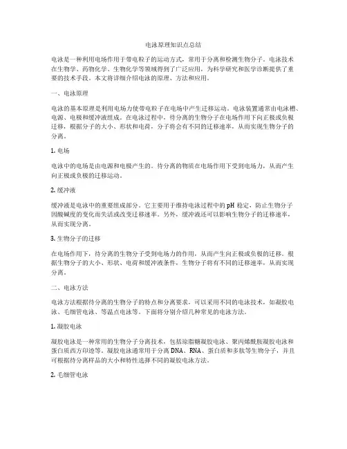 电泳原理知识点总结