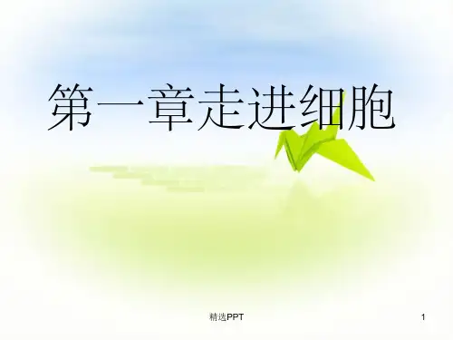 《走近细胞一轮复习》PPT课件