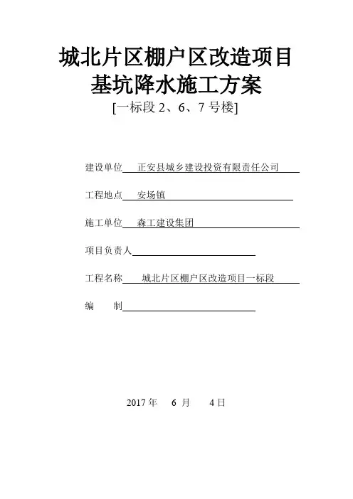 井点降水施工组织方案