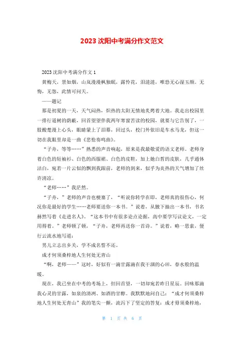 2023沈阳中考满分作文范文