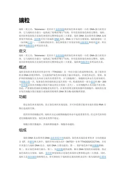 端粒