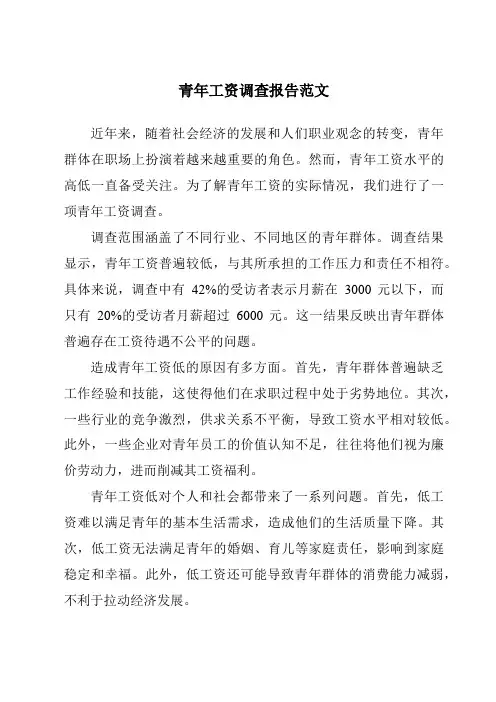 青年工资调查报告范文