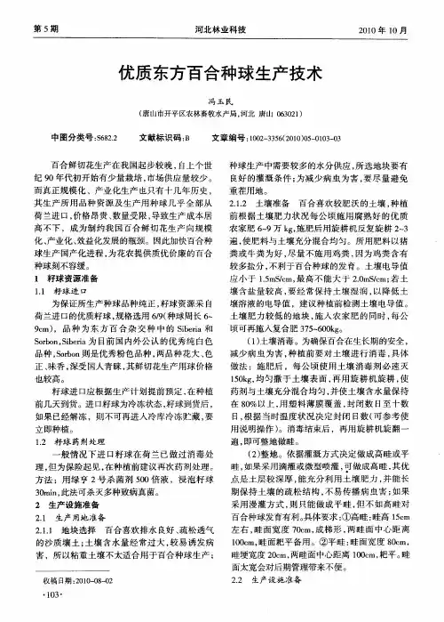 优质东方百合种球生产技术