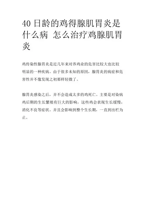 40日龄的鸡得腺肌胃炎是什么病 怎么治疗鸡腺肌胃炎