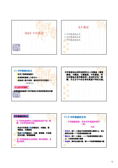 半纤维素