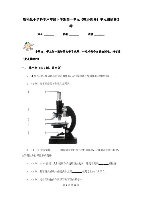 教科版小学科学六年级下学期第一单元《微小世界》单元测试卷B卷