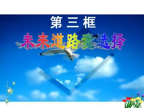 未来道路我选择性