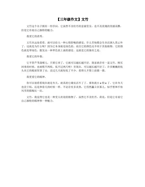 【三年级作文】文竹