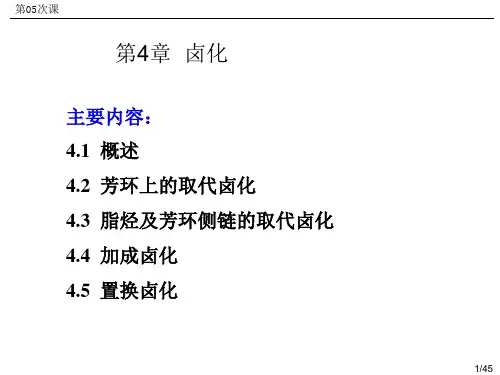 05精细化工工艺学第4章