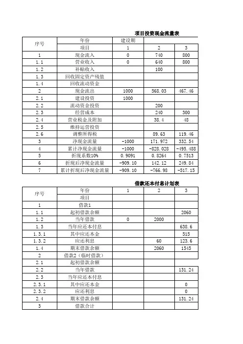项目投资现金流量表