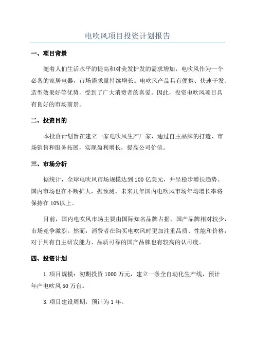 电吹风项目投资计划报告