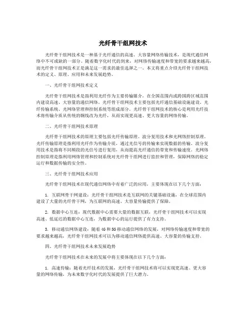 光纤骨干组网技术