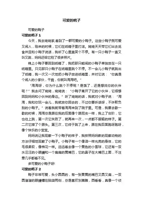 可爱的鸭子