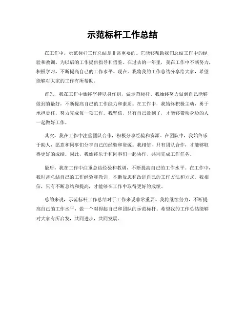 示范标杆工作总结