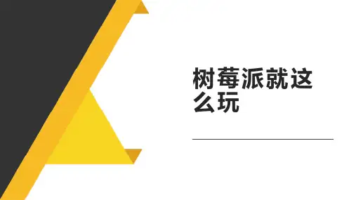 树莓派就这么玩