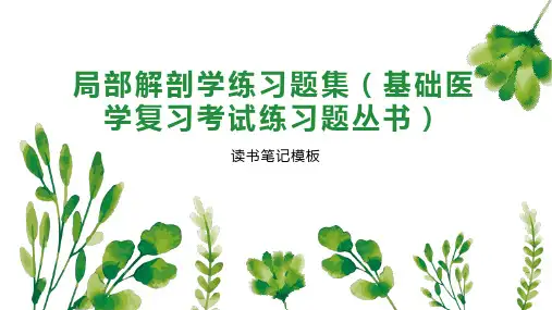 局部解剖学练习题集(基础医学复习考试练习题丛书)