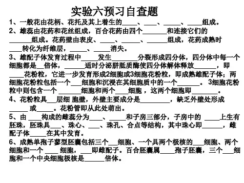 植物生物学实验：实验五 生1殖2器官的发育与结构与种子活力的测定