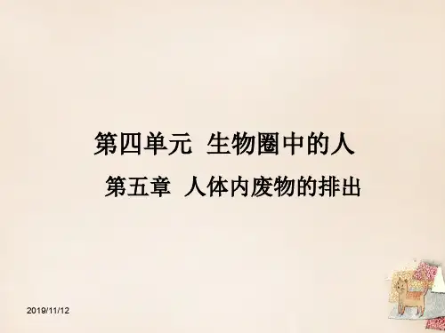 人教版初一下册生物第4单元第5章人体内废物的排出PPT课件(2)