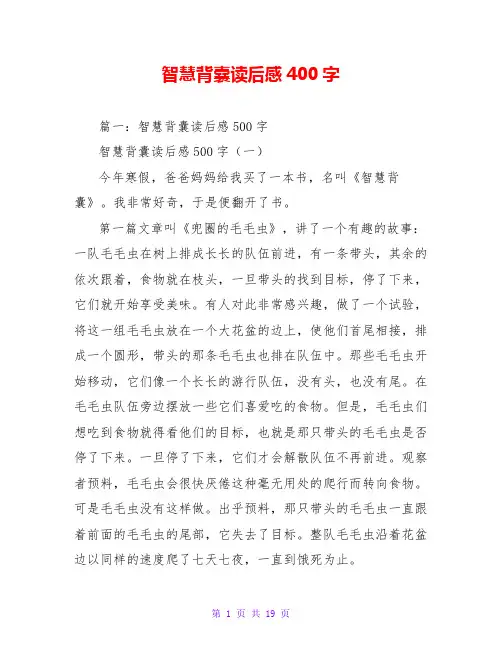 智慧背囊读后感400字