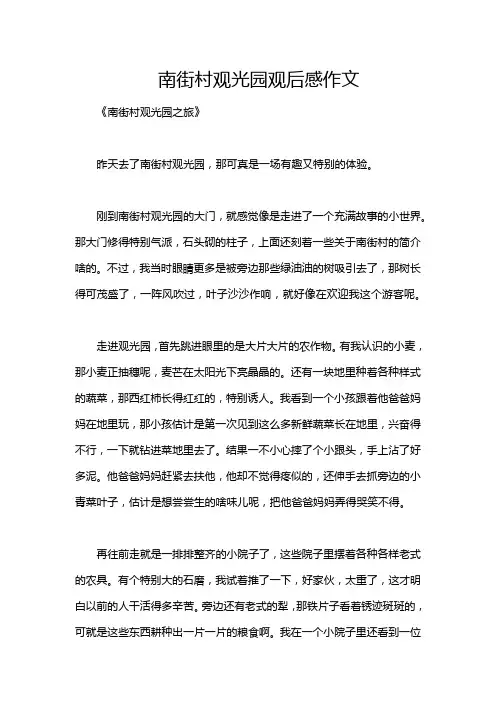南街村观光园观后感作文