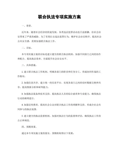 联合执法专项实施方案