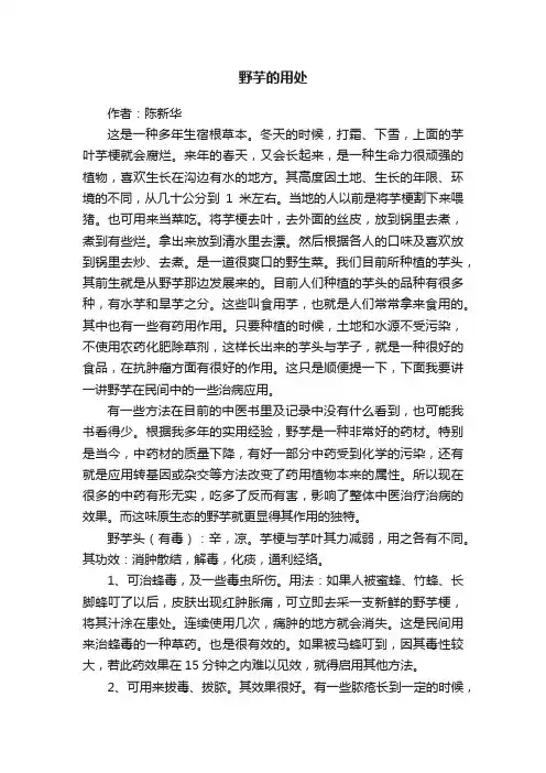 野芋的用处
