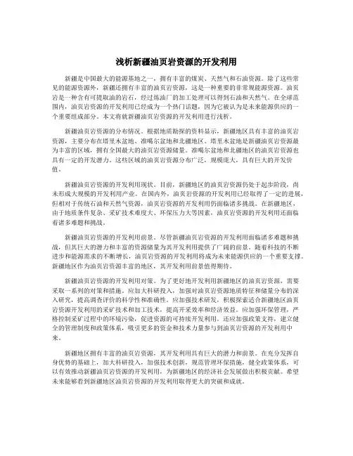 浅析新疆油页岩资源的开发利用