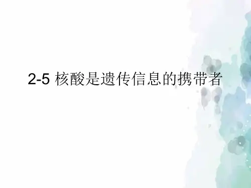 核酸是遗传信息的携带者【新教材】人教版高中生物必修一PPT课件1